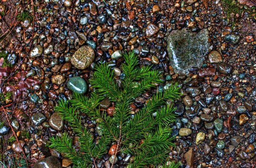 photo by Josh Scholten