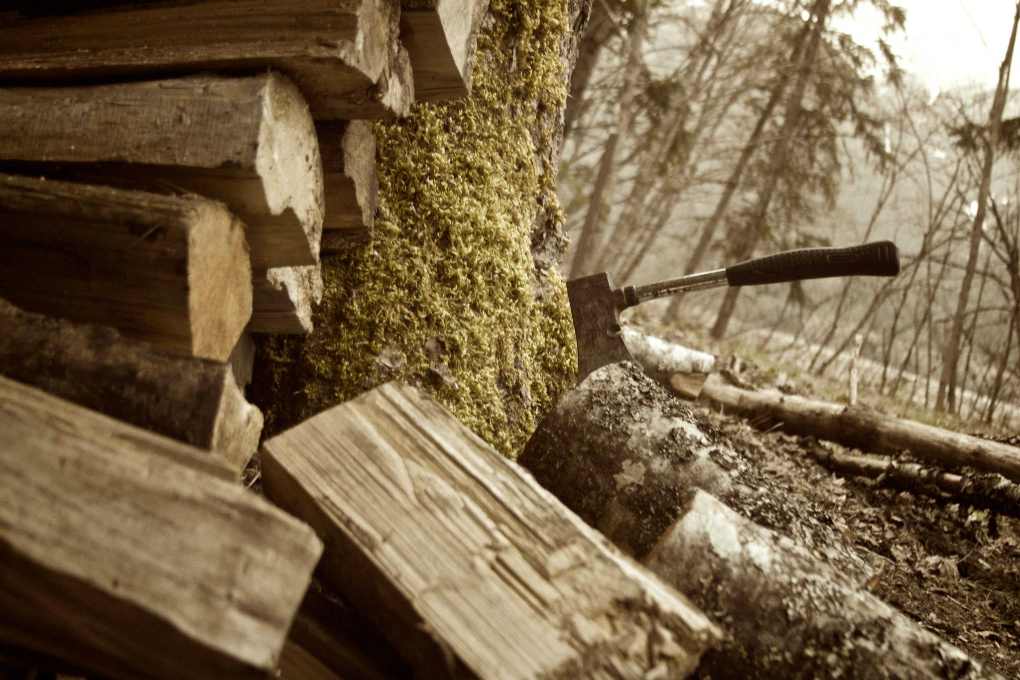 photo by Josh Scholten