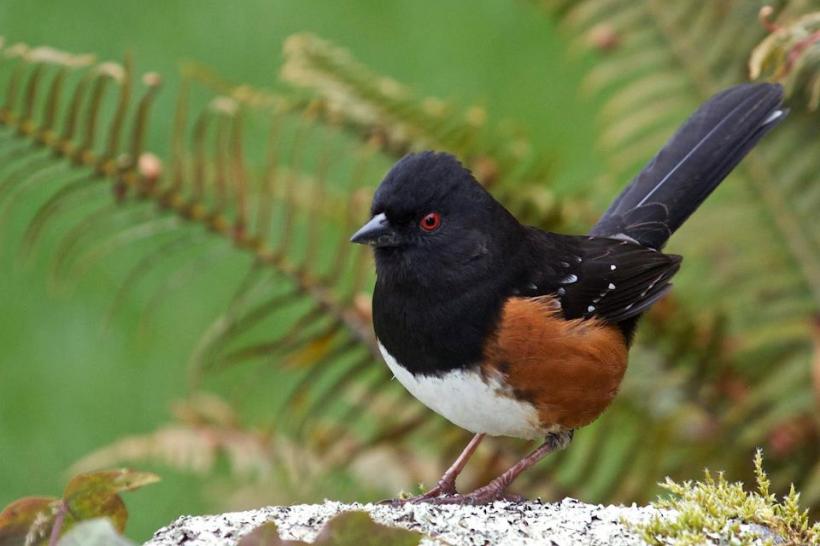 photo by Josh Scholten