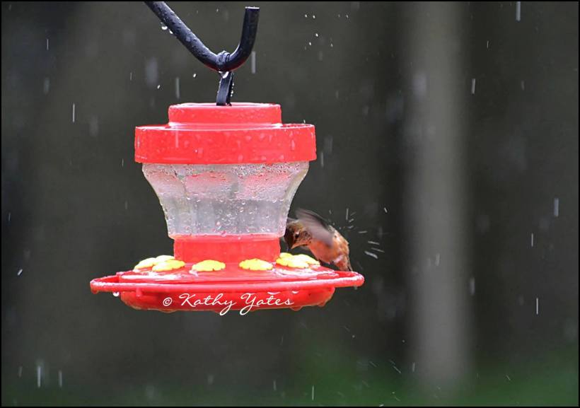 photo by Kathy Yates