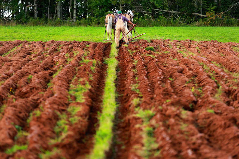 plowing match photo by www.ninalintonphotography.com
