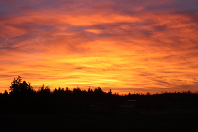 135719_521019082904_1951511_o