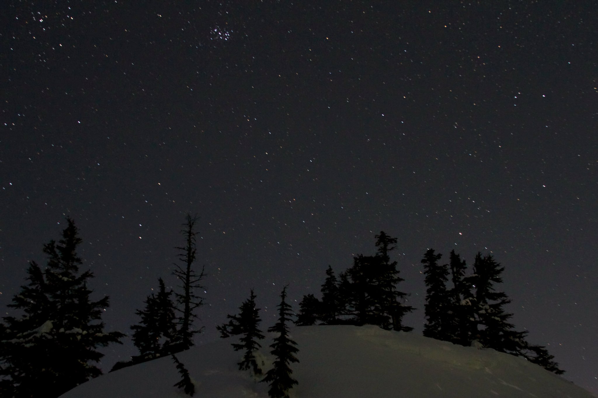 photo by Josh Scholten