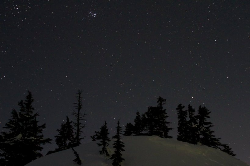 photo by Josh Scholten