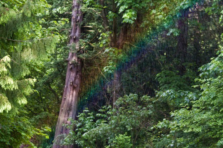 photo by Josh Scholten