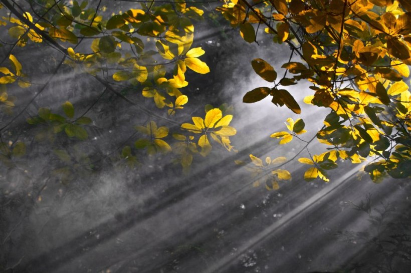 photo by Josh Scholten