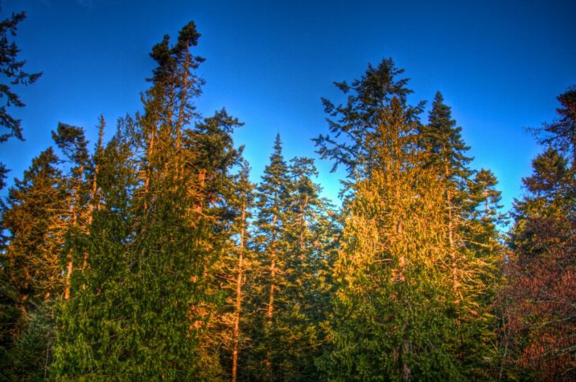 photo by Josh Scholten