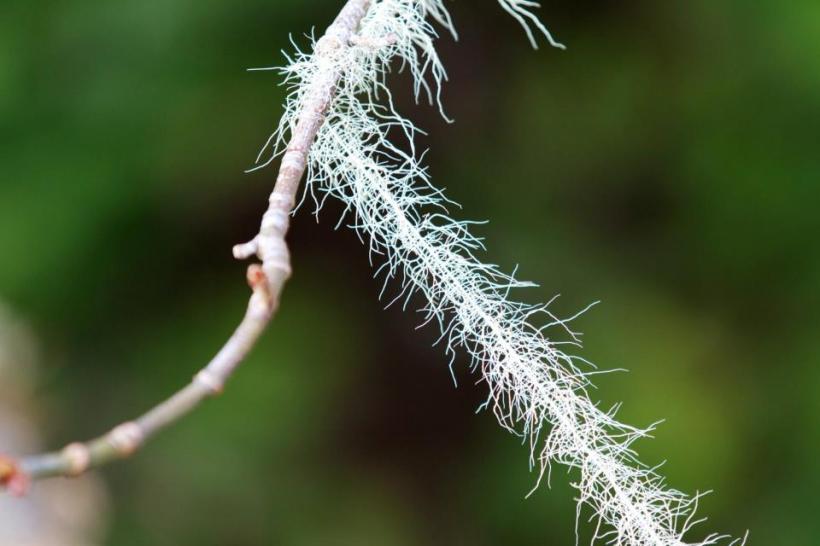 photo by Josh Scholten