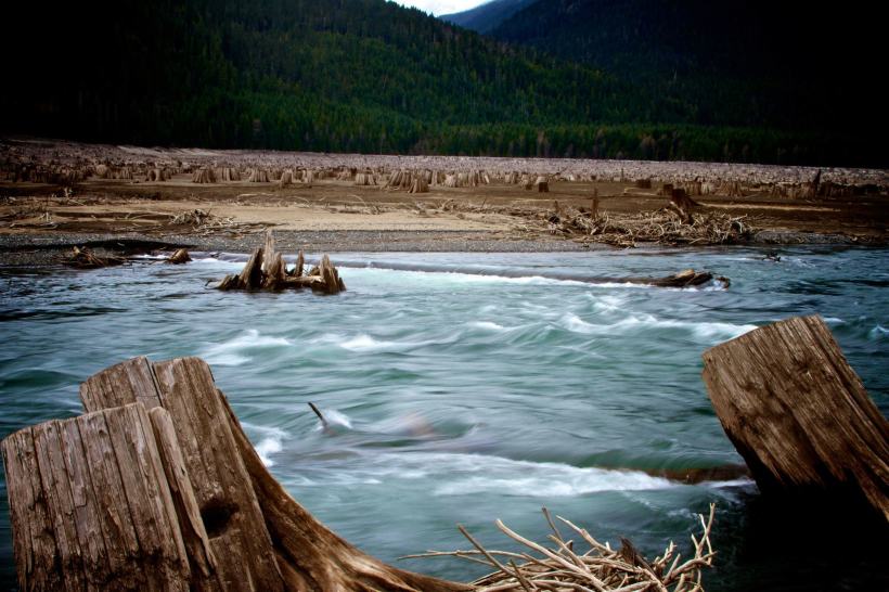 photo by Josh Scholten