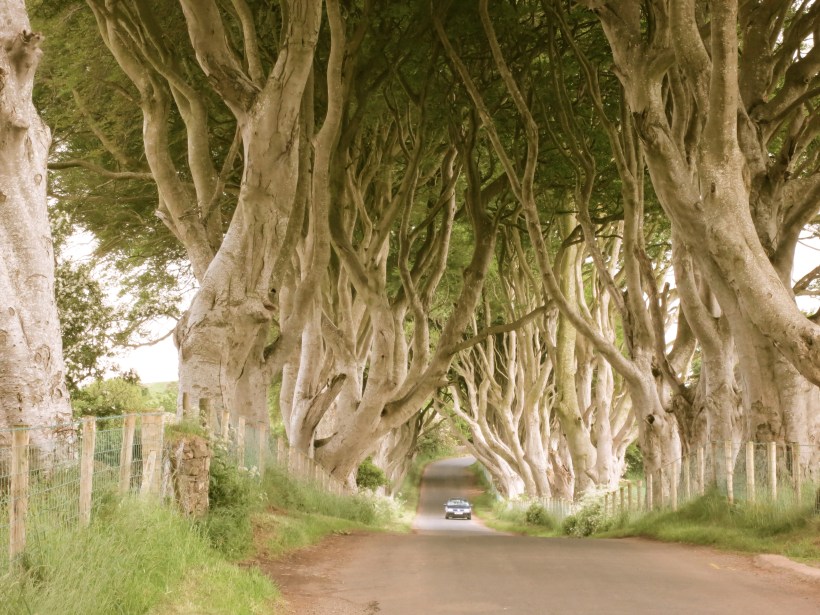 photo by Emily Gibson