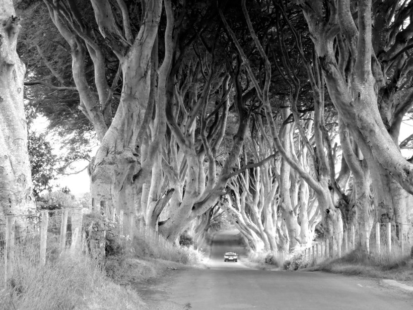 photo by Emily Gibson