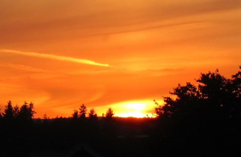 orange sherbet farm sunset