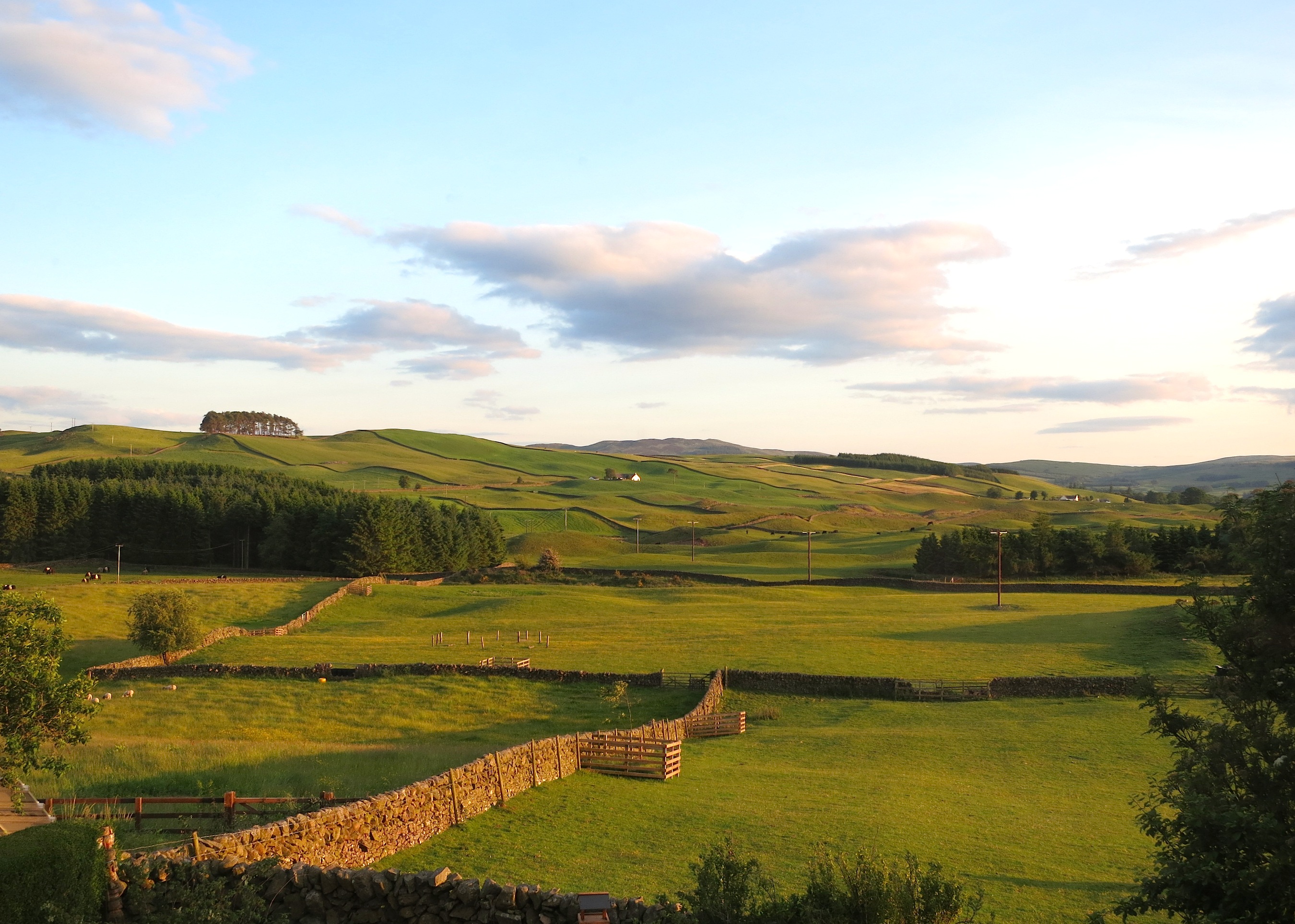 Evening in the Scottish Lowlands