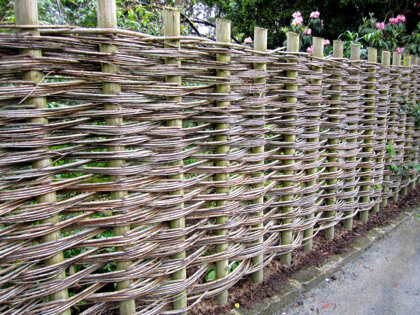 willowfencedan