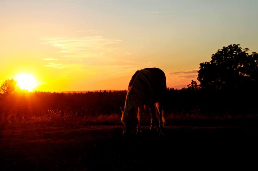 photo by Nate Gibson