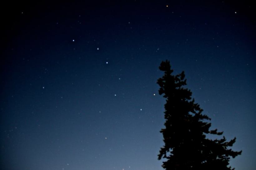 photo by Nate Gibson