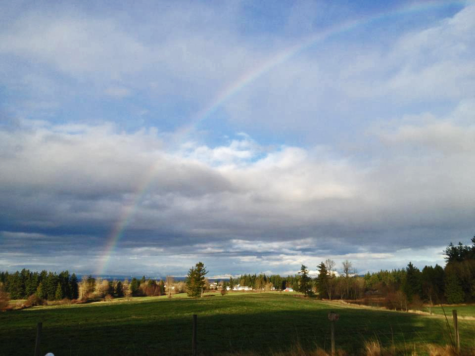rainbowfarm