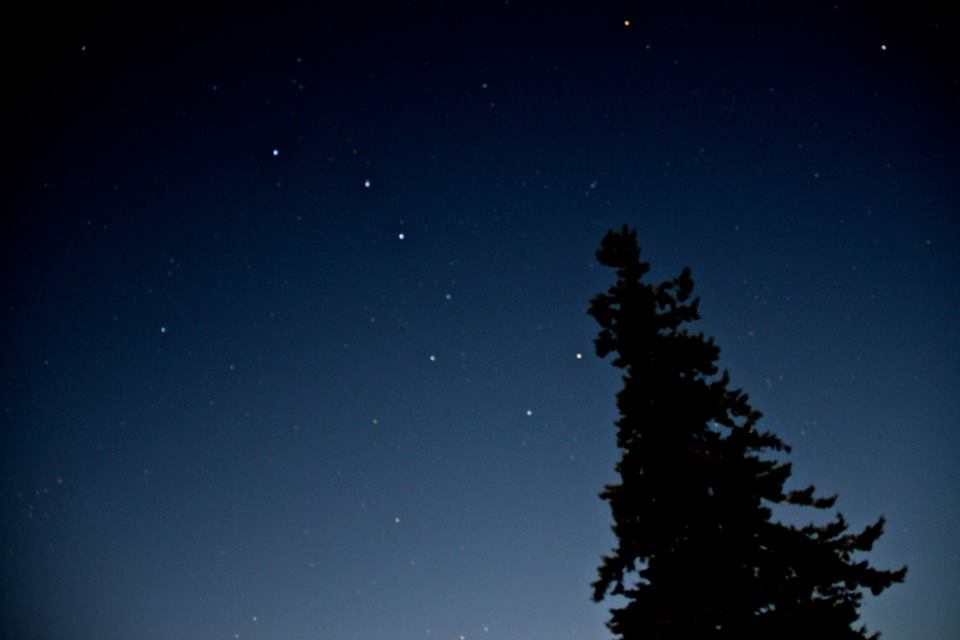 1002556_581472858054_326807933_n