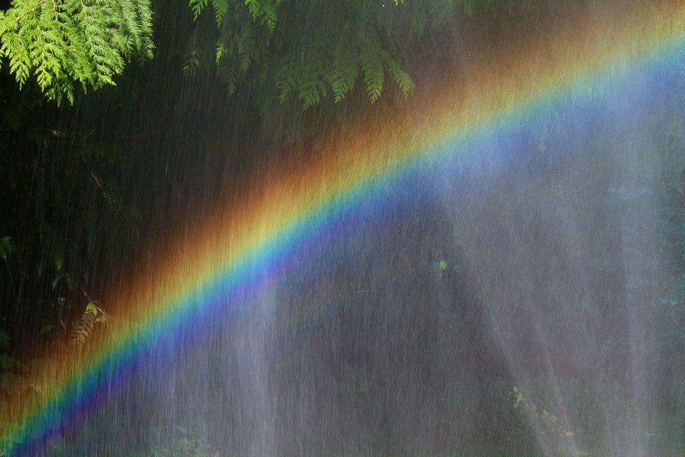 photo by Josh Scholten