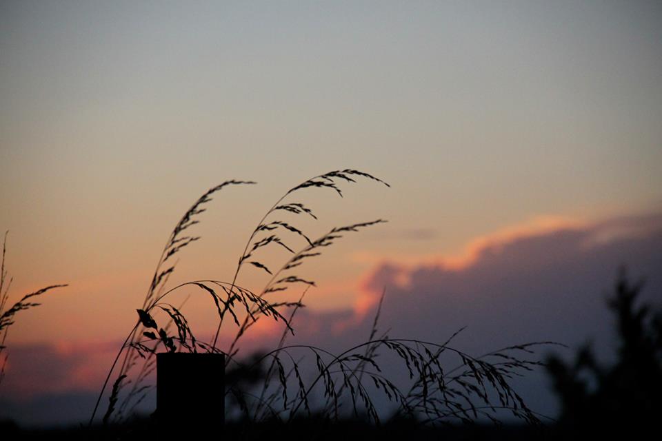 photo by Nate Gibson