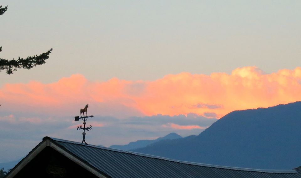 972223_10151730350476119_1024153386_n