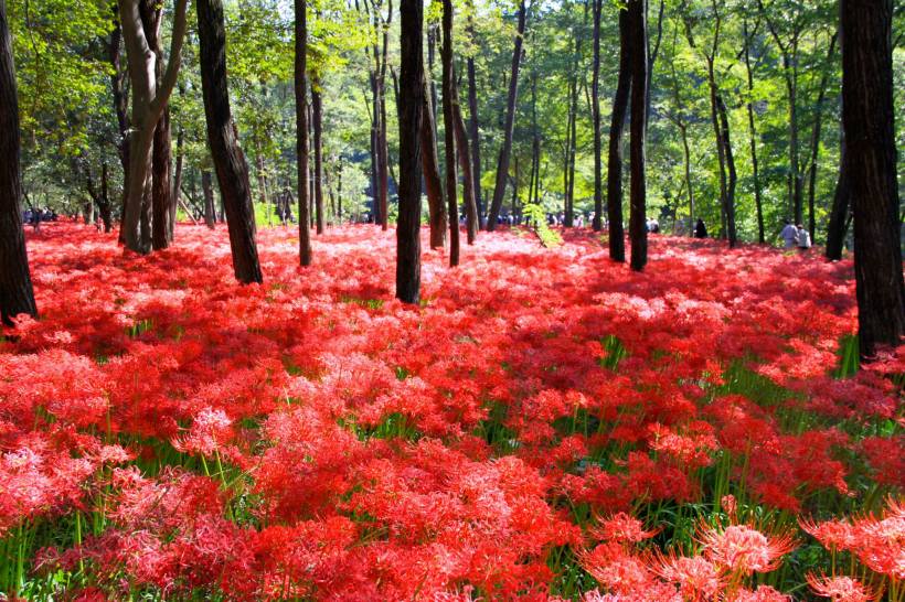 photo by Nate Gibson