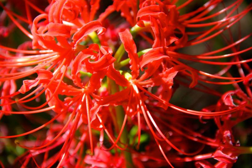 photo by Nate Gibson