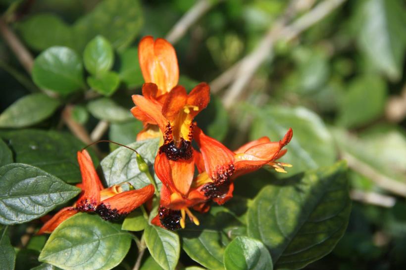 photo by Nate Gibson