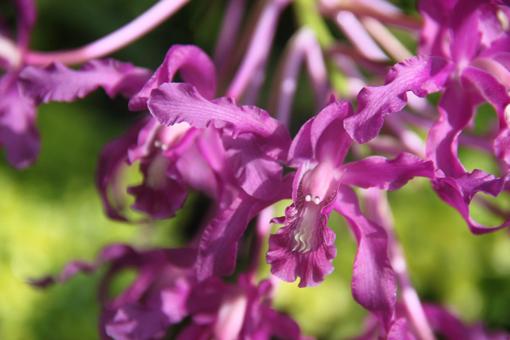 photo by Nate Gibson