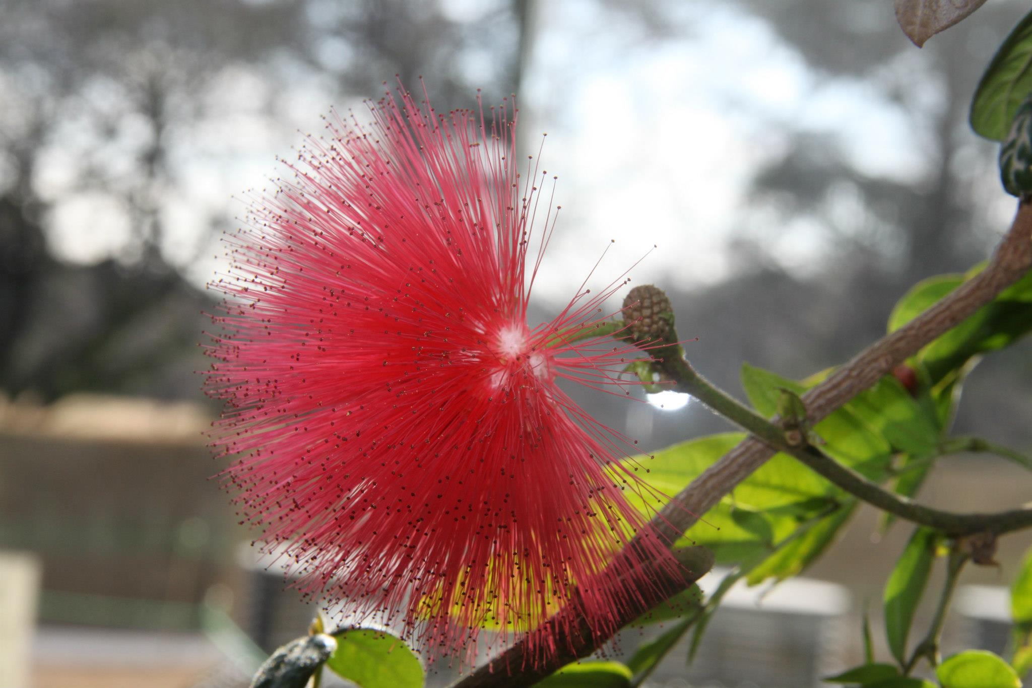 photo by Nate Gibson