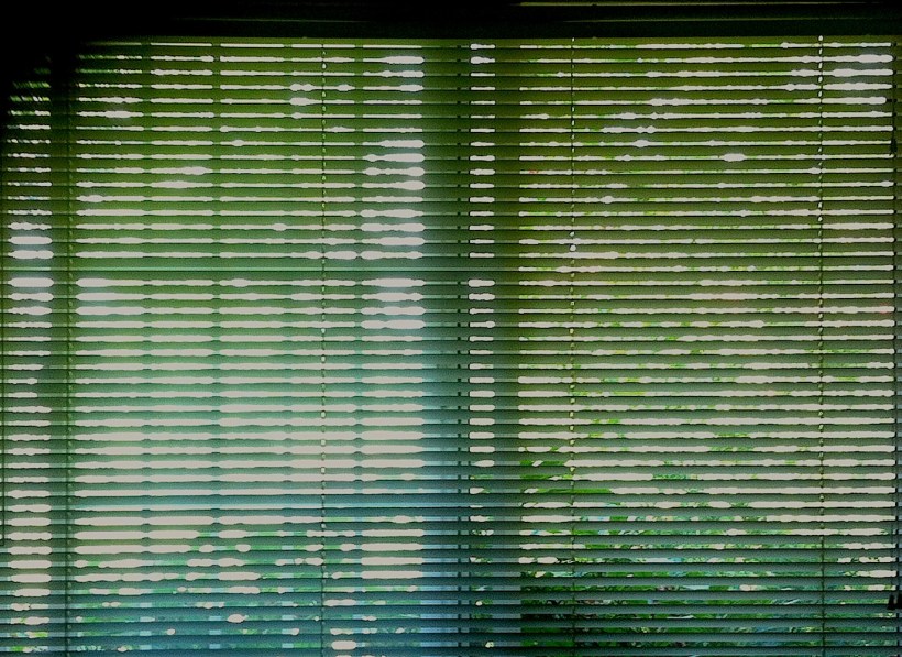 afternoonblinds
