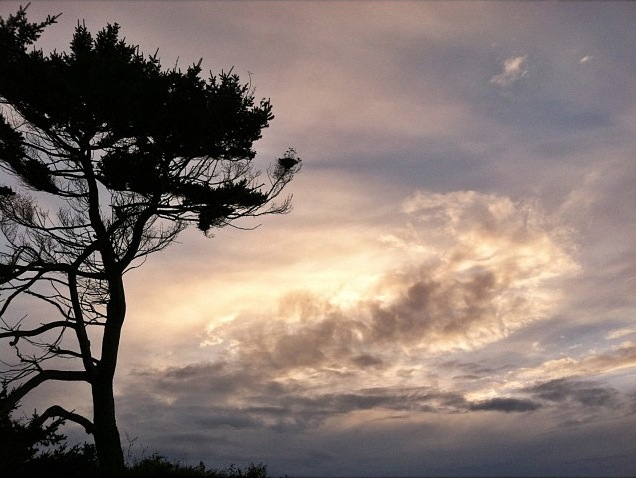 photo by Starla Smit