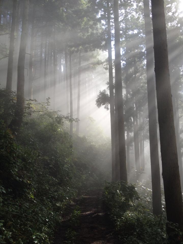 photo by Nate Gibson