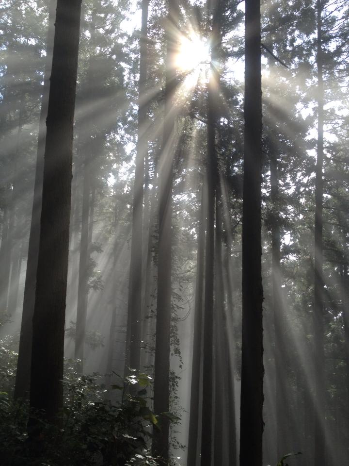 photo by Nate Gibson