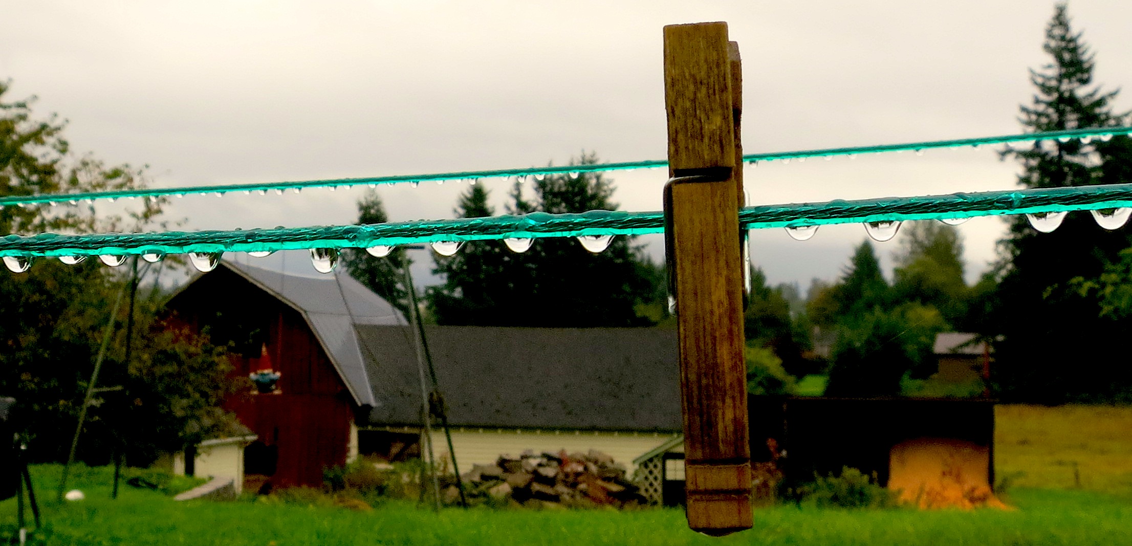 rainyclotheslines2
