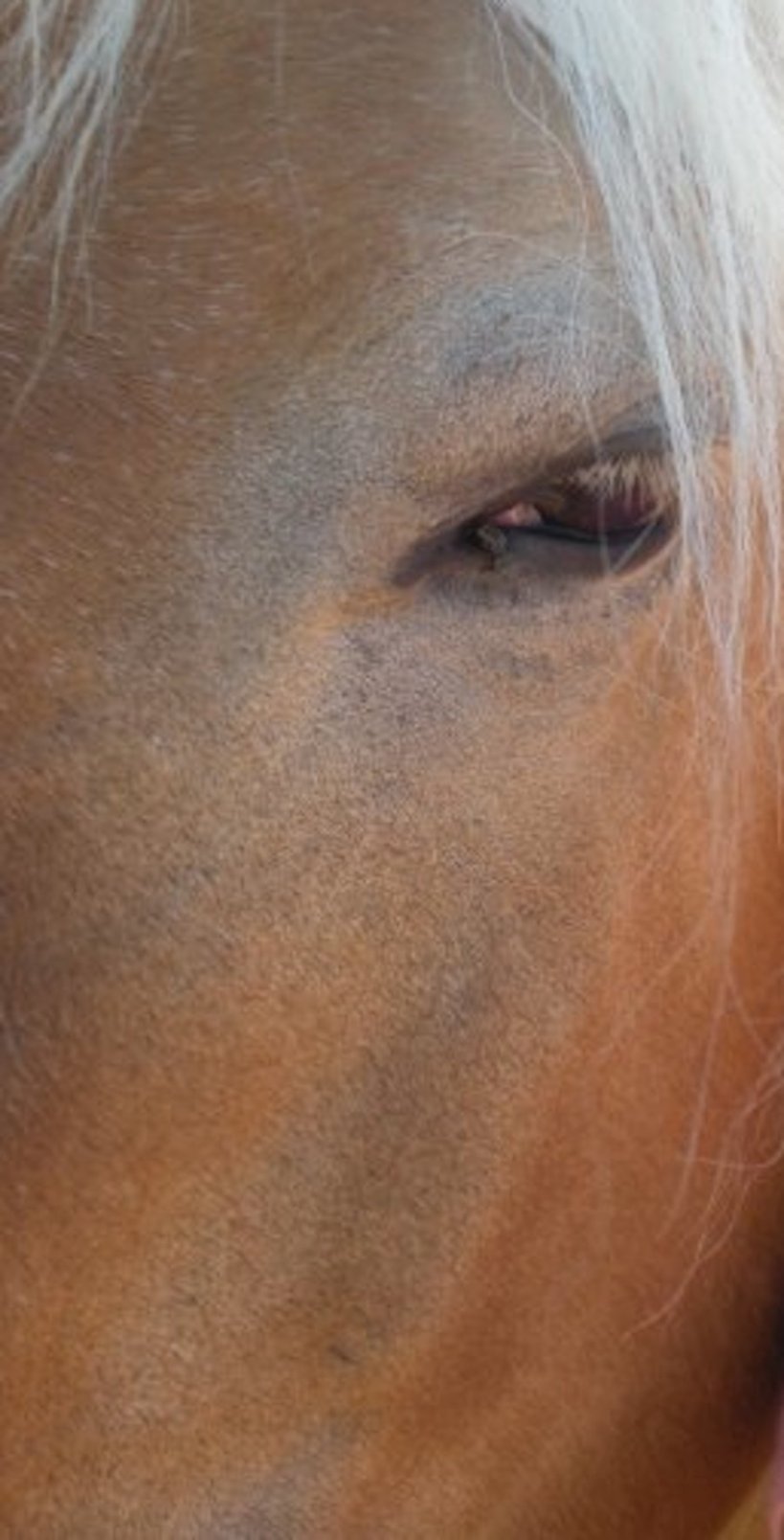 5693_1234422659847_4467192_n