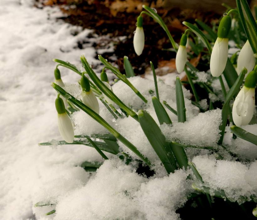 1617448_10152236317916119_471431523_o