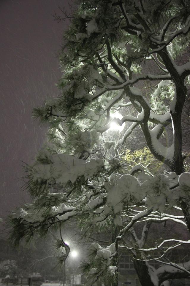 1904172_598840872414_1512230259_n