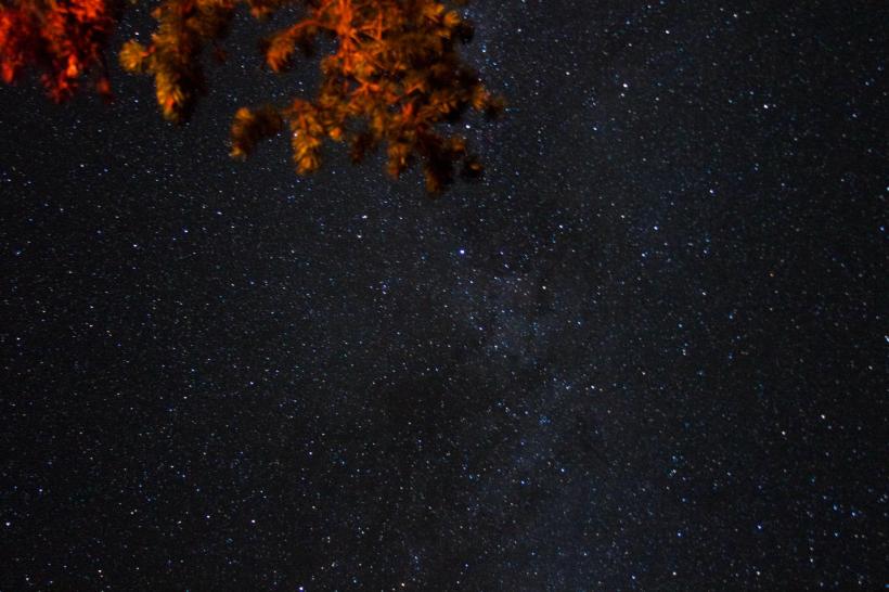 photo by Josh Scholten