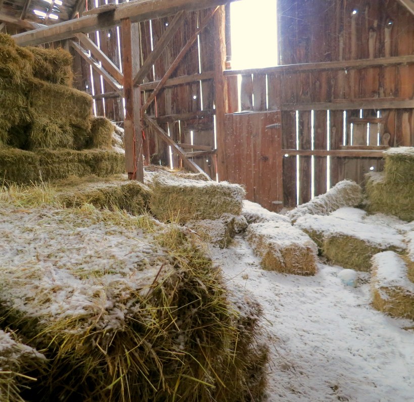 another barnstorming