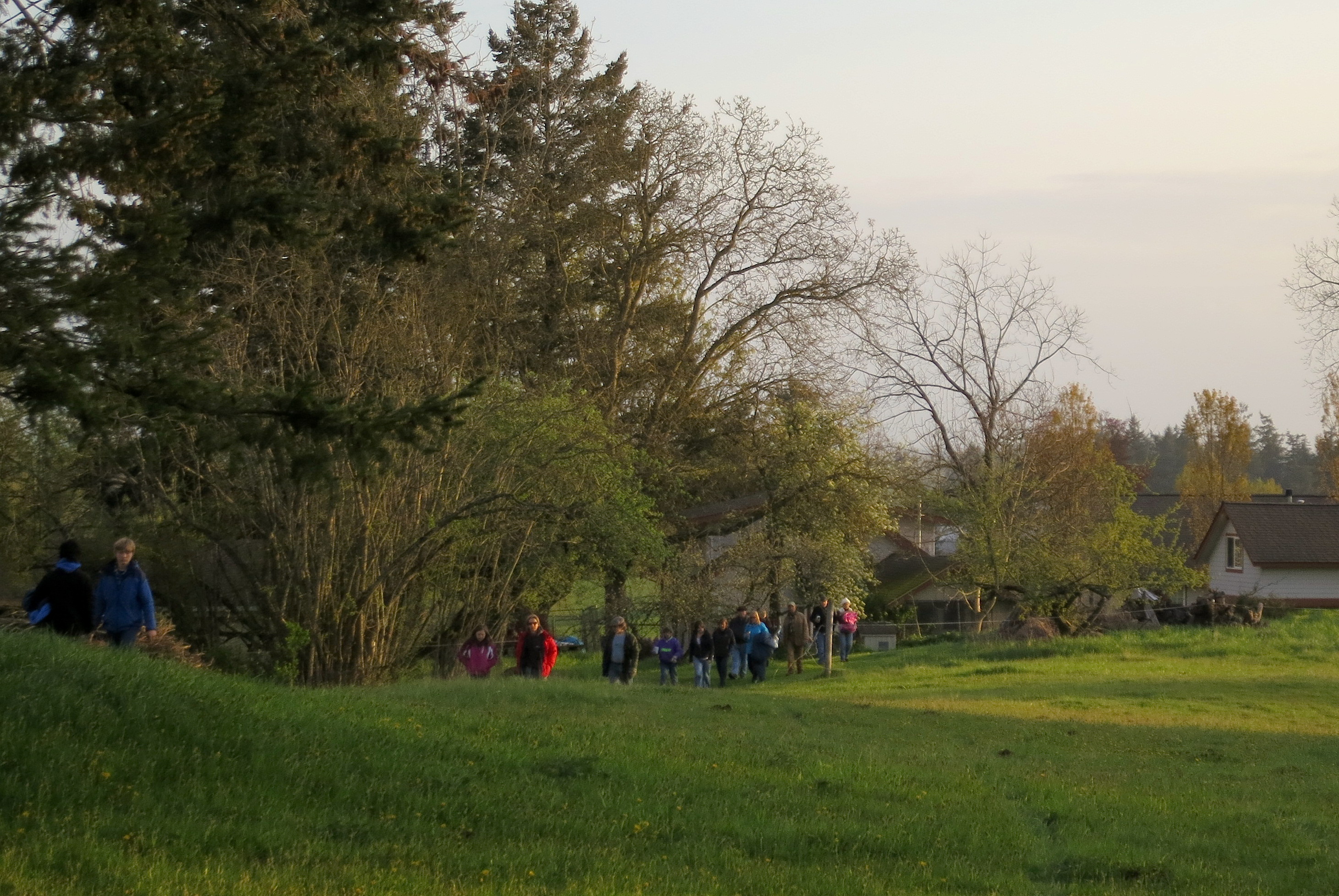 a stream of people walking up the hill this morning for Easter Sunrise Service on our farm