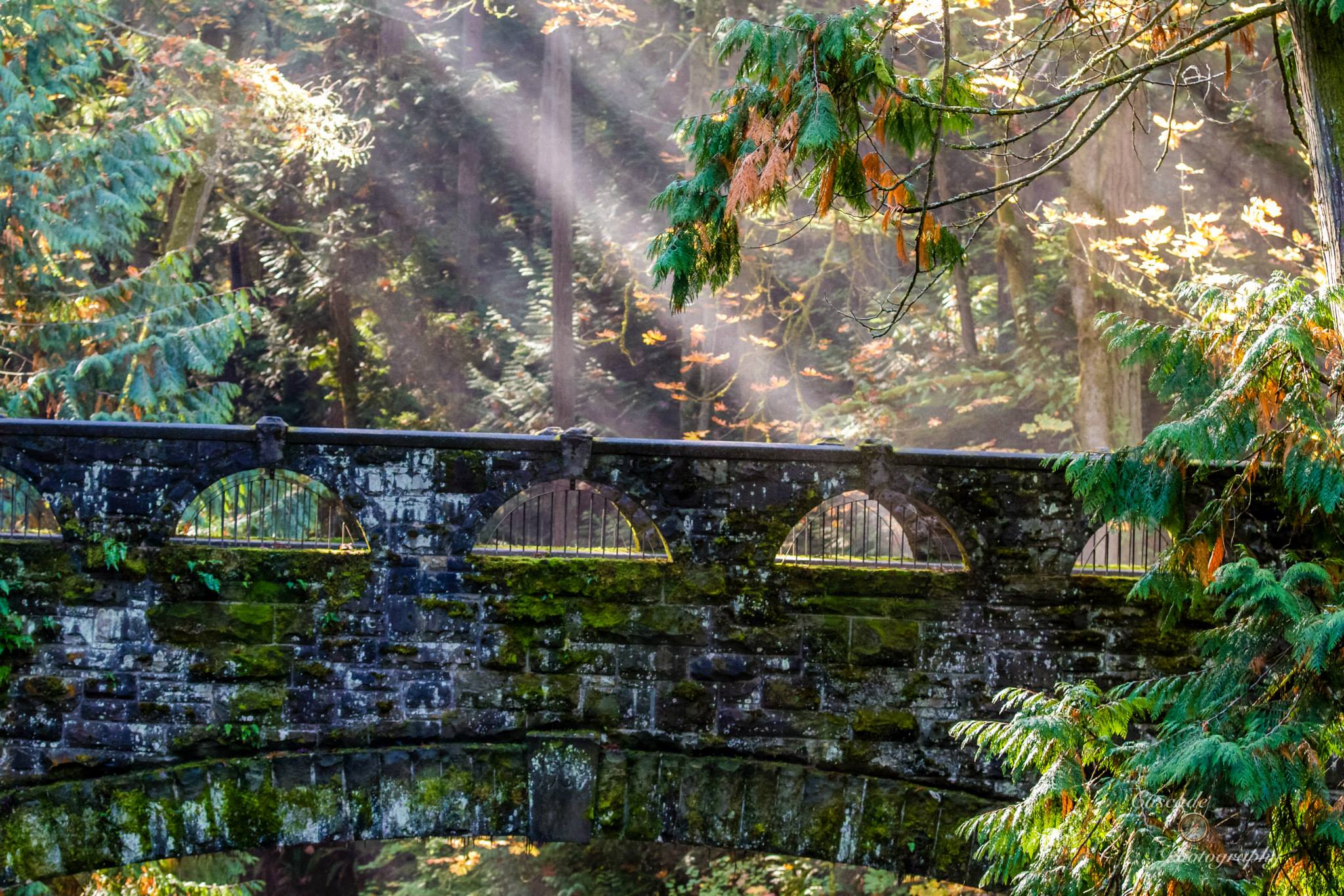 1397671_10201599501641658_1763970821_o