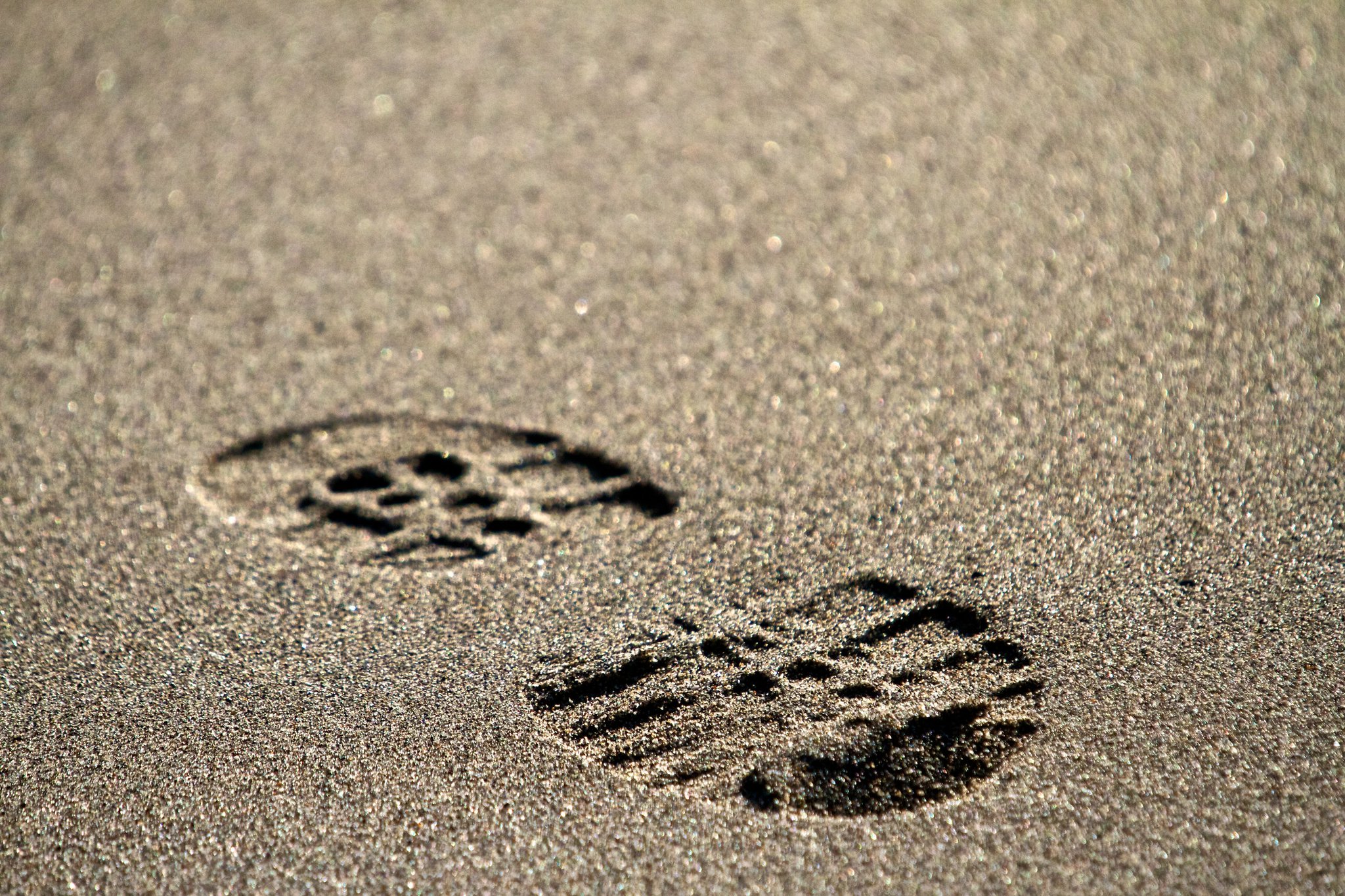 photo by Josh Scholten