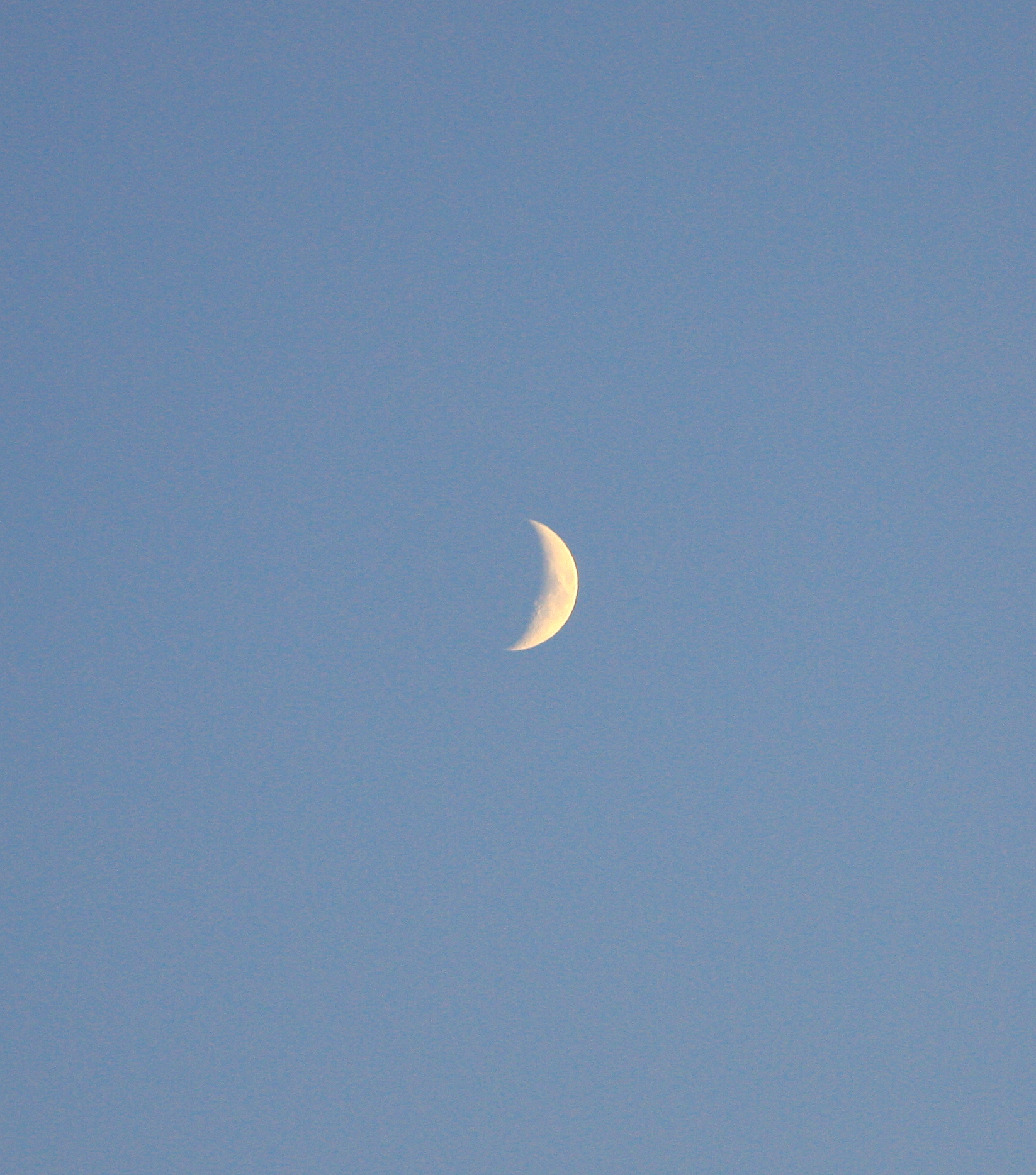 photo by Harry Rodenberger