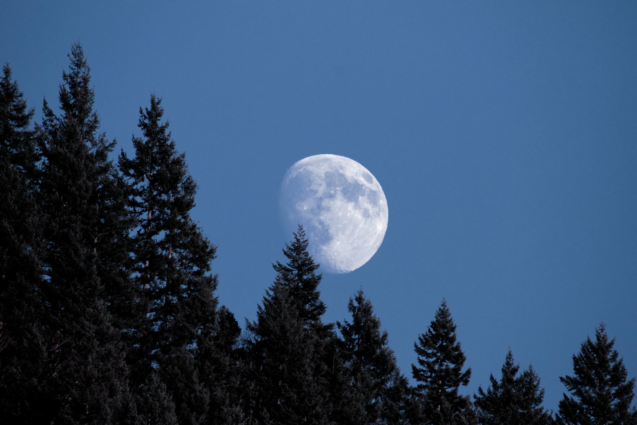 photo by Josh Scholten