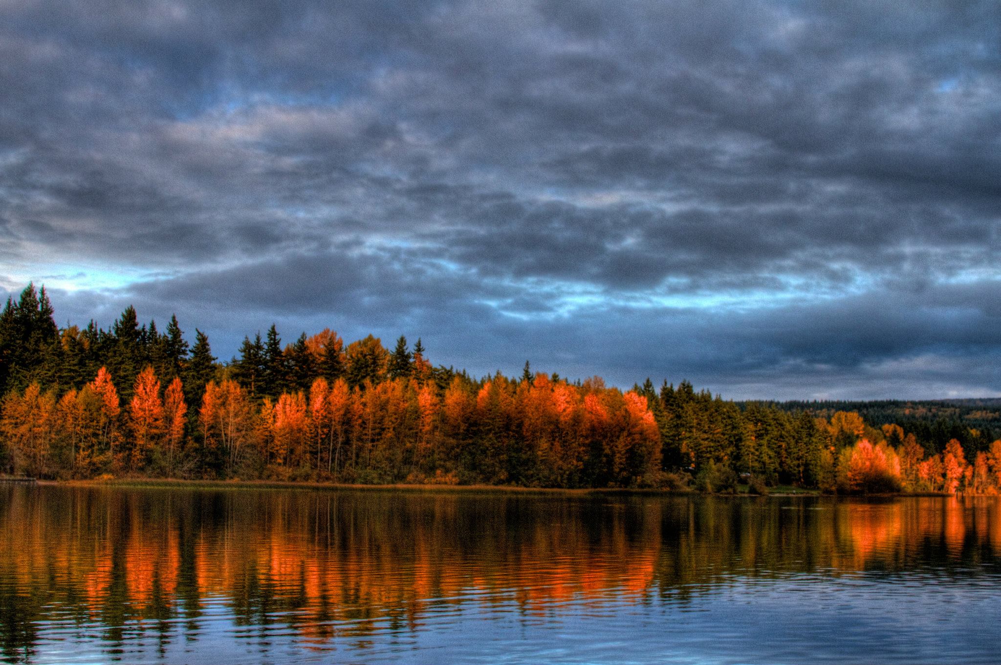 photo by Josh Scholten