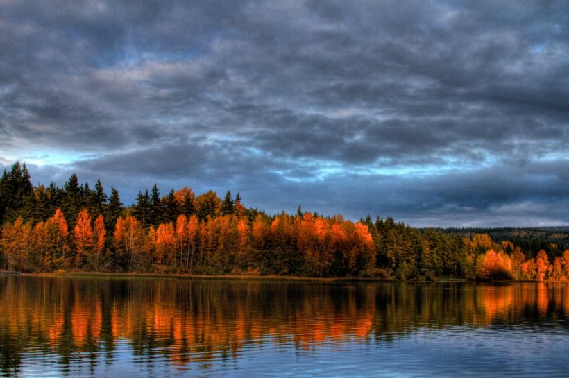 photo by Josh Scholten