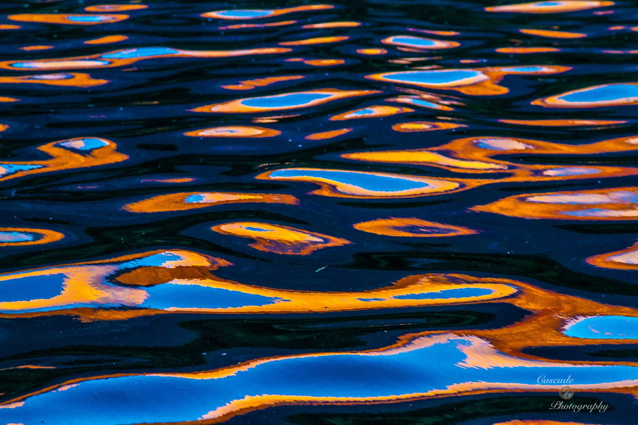 photo by Josh Scholten