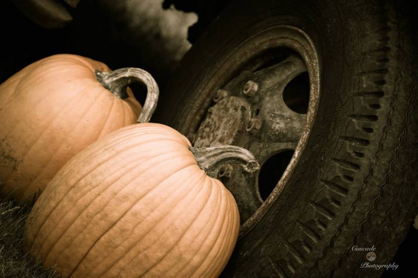 photo by Josh Scholten