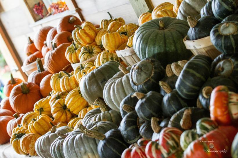 photo by Josh Scholten